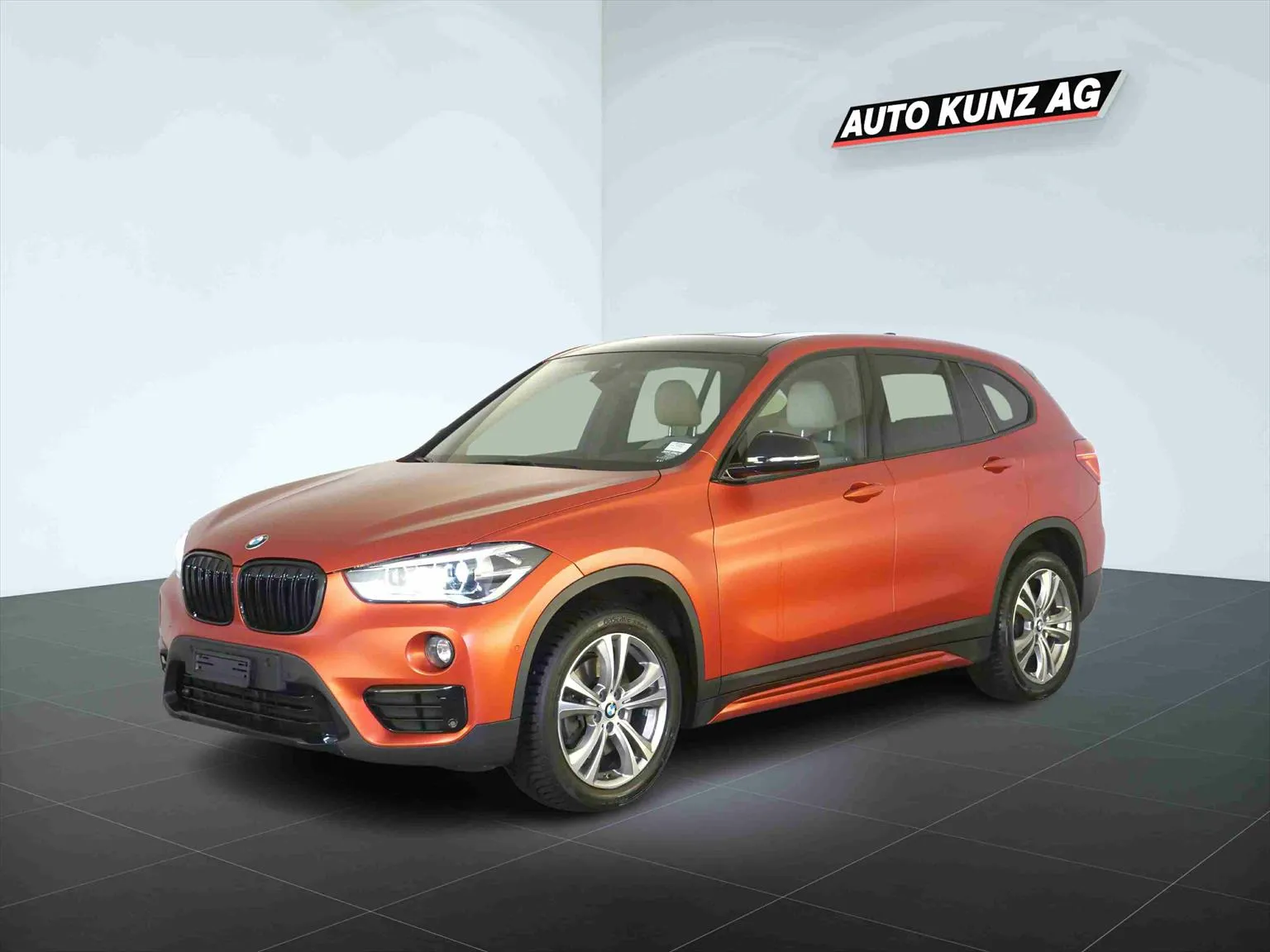 BMW X1 xDrive 25d Sport Line  Image 1